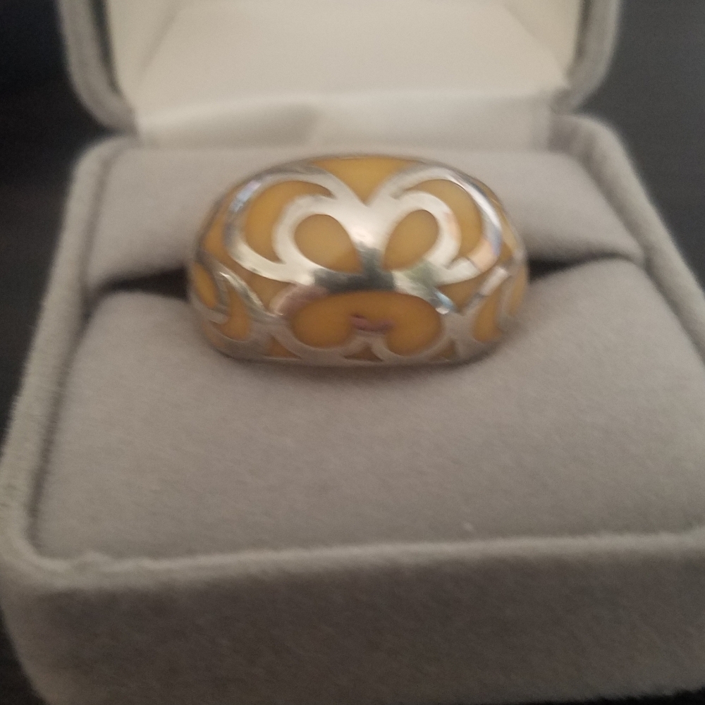 Dome Ring Enamel with silver